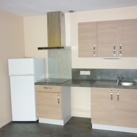  SOLOGEC IMMOBILIER : Apartment | MENDE (48000) | 48 m2 | 474 € 
