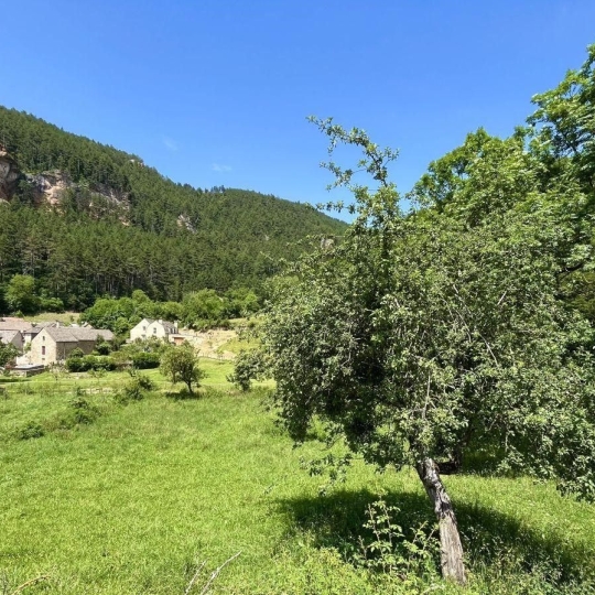  SOLOGEC IMMOBILIER : Terrain | LANUEJOLS (48000) | 0 m2 | 33 000 € 