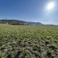 SOLOGEC IMMOBILIER : Terrain | SEVERAC-LE-CHATEAU (12150) | 0 m2 | 325 500 € 