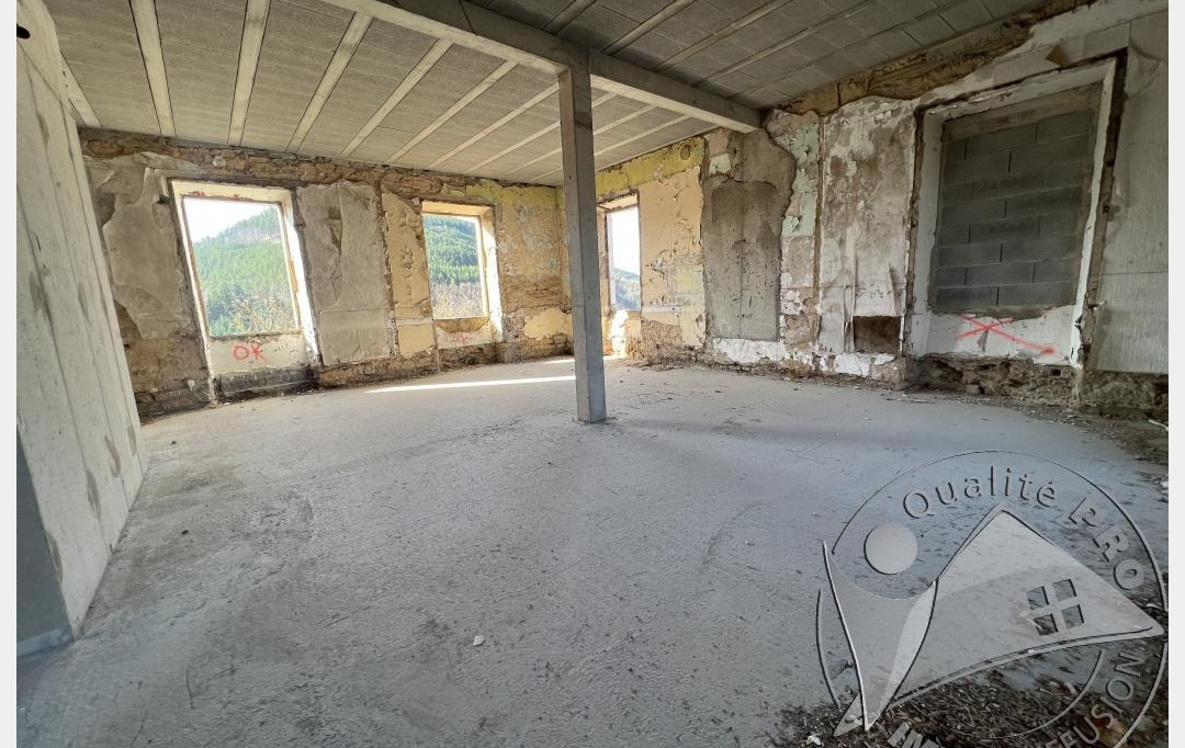 SOLOGEC IMMOBILIER : Building | MARVEJOLS (48100) | 437 m2 | 210 000 € 