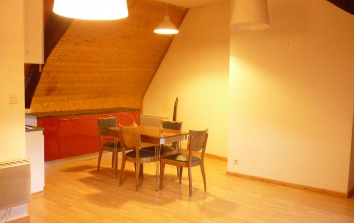  SOLOGEC IMMOBILIER Appartement | MENDE (48000) | 46 m2 | 439 € 