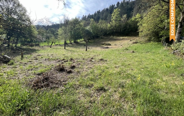 Terrain   LES SALELLES   50 000 € 